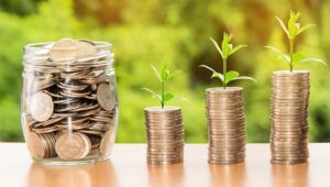 経営管理ビザ出資金についてサムネ